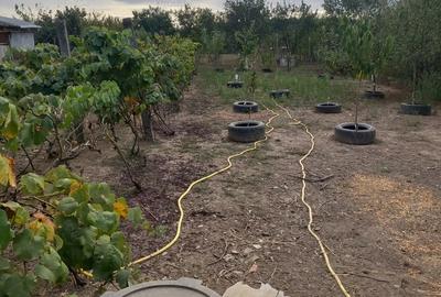 Casa de vanzare Pischia - 2