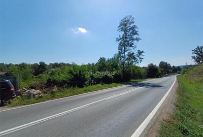 Resita, Teren Intravilan 5615 Mp., 25 Euro/Mp., Calea Carans - 4