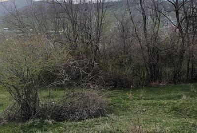 Teren de 2600 mp, în Izvoarele