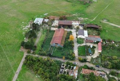 Spa?iu industrial Campineanca - 4