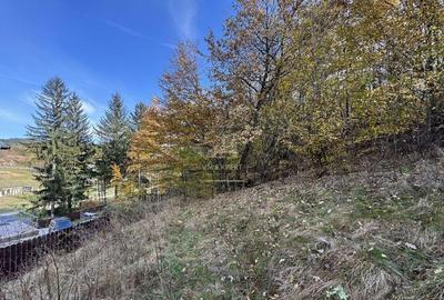 TEREN INTRAVILAN 13167 MP BUGHEA DE SUS ARGES - 11