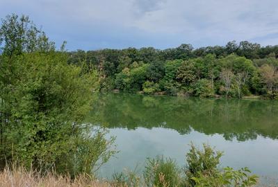 Teren Construcții intravilan de 900 mp, în Brănești - 1