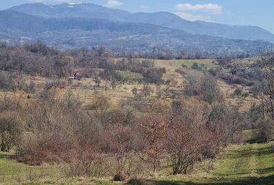 Teren de 2000 mp, în Central - 1