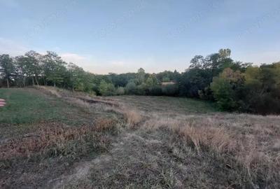 Casa batraneasca bine intretinuta in Bahna - 14