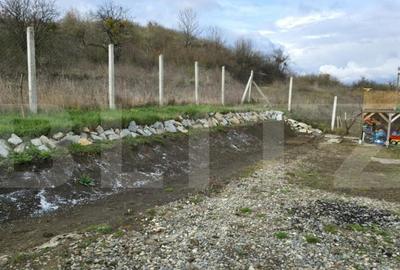 Teren extravilan, de vanzare, 721 mp, zona Valea Stanelor - 12