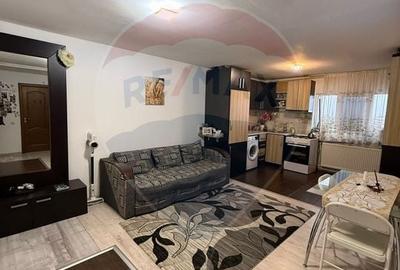 Apartament cu 3 camere de vanzare in zona Lapus - 4
