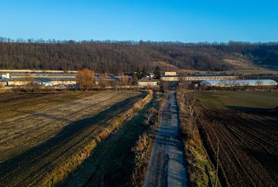 Spațiu comercial, de 50,000 mp, în Central - 12