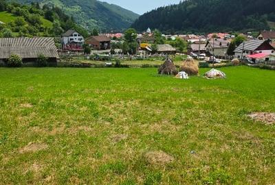 Teren intravilan - 6312 mp - Rucar, Argeș - 4