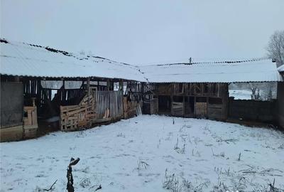 Casă cu 4 camere cu Teren 11000 Mp în Uileacu de Beiuș - 4