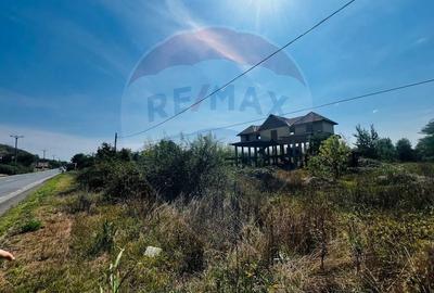 Casa / Vila in constructie teren 3240 mp - 7