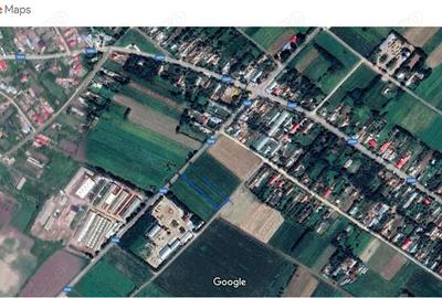 Teren de 5000 mp, în Cotorca - 2