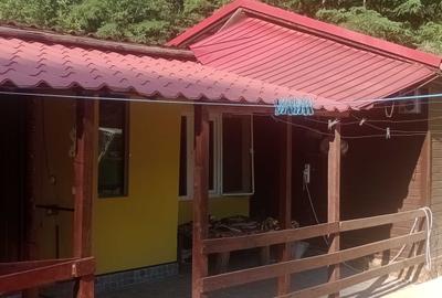 Casă cu 2 camere în Băița - 1