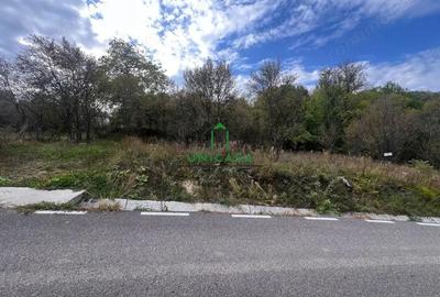 Teren de 828 mp, în Curăturile - 2