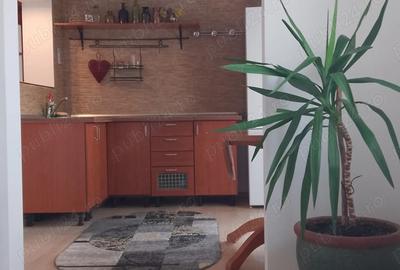 Apartament 2 camere de inchiriat - zona Popa Sapca Pitesti - (zona Spa VICTORIA) - 6