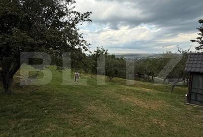 Casa etaj, 140 mp utili, 4800 mp teren, Adancata - 11