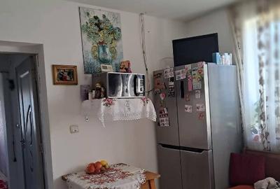 Sau schimb casa Sendriceni, Botosani cu apartament 3 camere dorohoi - 10