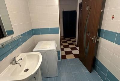 Garsoniera Decomandata - Metalurgiei - Drumul Binelui - 9