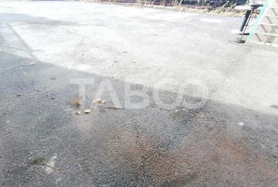 Spatiu comercial pe 2 niveluri cu vad 440 utili zona Terezian Sibiu - 13