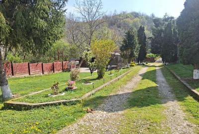 CASA DE VACANTA - UN MIC COLT DE RAI , STEFANESTI, ARGES CASA DE VACANTA - UN MIC COLT DE RAI , STEFANESTI, ARGES - 18