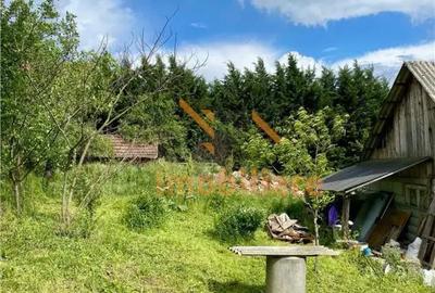 Casă cu 3 camere cu Teren 2215 Mp în Uileacu de Munte - 9