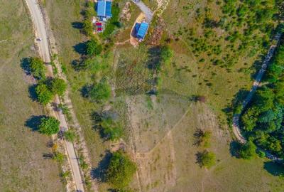 Teren agricol extravilan de 6014 mp, în Holbav - 12