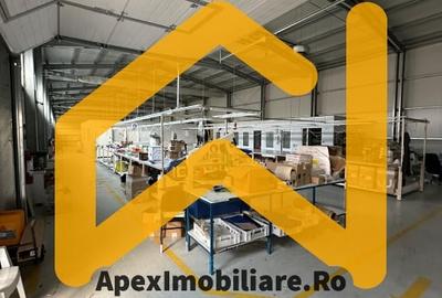 Spațiu comercial, de 550 mp, în Malu Roșu - 5