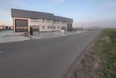 Inchiriere depozit/hala/spatiu industrial Domnesti - Centura, Ilfov - 9