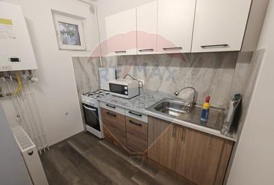 Apartament cu o camera de inchiriat Vlad ?epe? - 7