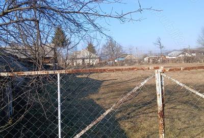 Casă cu 4 camere cu Teren 4400 Mp în Costișa - 3