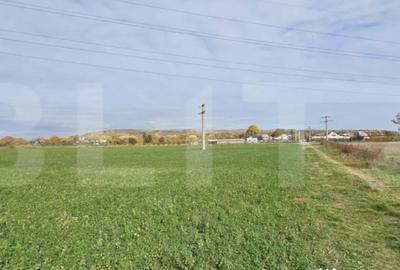 Teren de 1400 mp, în Răzvad - 2