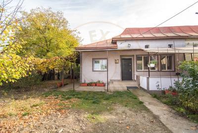 Casa - Golesti - Stefanesti - 3000 Mp Teren Casa - Golesti - Stefanesti - 3000 Mp Teren - 12