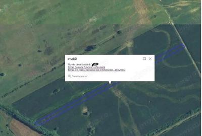 Teren extravilan 5000 mp, Com Ungheni, Jud Arges - 2