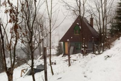 Casă cu 2 camere în Muntele Băișorii - 4