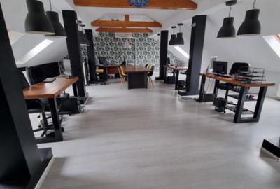 Spatii de Birou la Cheie - 10