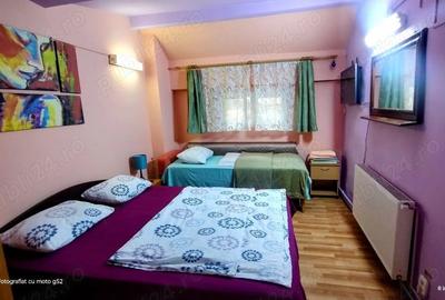 Casă cu 6 camere cu Teren 1000 Mp în Aleșd - 8