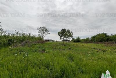 Teren Balotesti - Central - 3