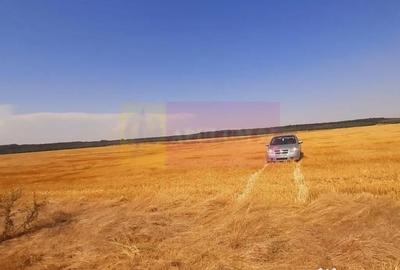 Teren de 2000 mp, în Brănești - 1