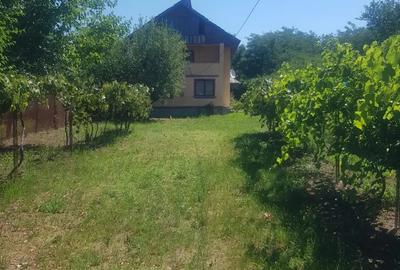 Casa de vanzare Comuna Runcu, sat Rachi?i, str. Cheile Sohodoului, nr. 58 - 5