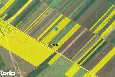 Teren de 43650 mp, în Central - 2