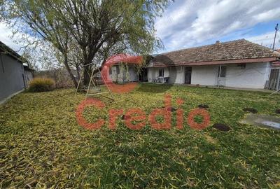 Casă cu 2 camere cu Teren 1200 Mp în Peciu Nou - 10