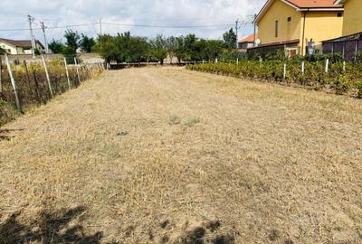 Teren constructii de vanzare - Valu lui Traian, Constanta Teren constructii de vanzare - Valu lui Traian, Constanta - 4