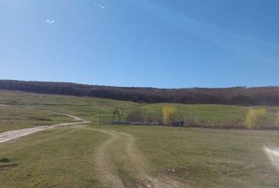 Teren de 2600 mp, în Reuseni - 8