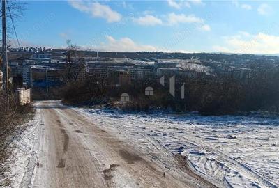 Teren de 707 mp, în Vișan