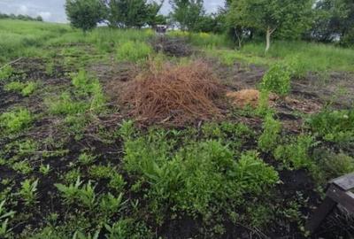 Casa 4 camere, 6000mp teren, zona centrala, Negostina, Siret - 32