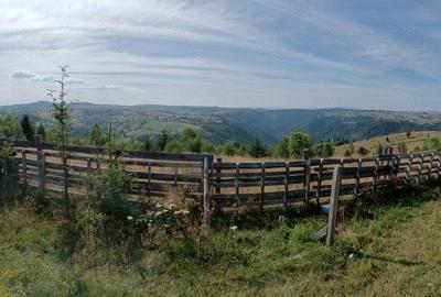 Vand cabana Maguri - 3