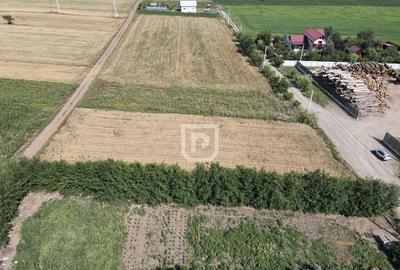 Teren de 2200 mp, în Ilișești - 1