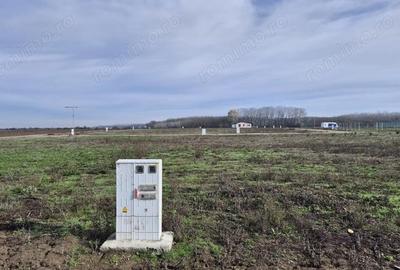 Teren de 638 mp, în Crevedia - 11