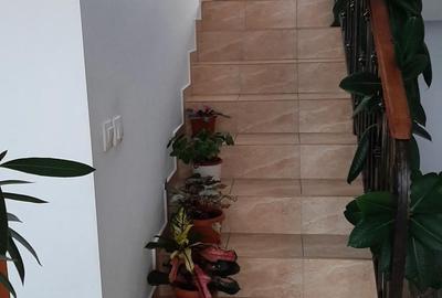 Casă cu Teren 300 Mp în Chiajna