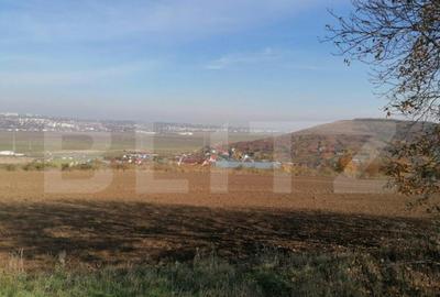 Teren extravilan 5000 mp, Uricani - 2