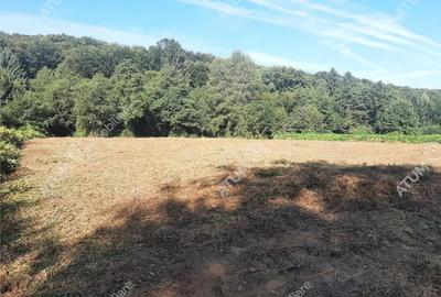 Teren de 1925 mp, în Avrig - 4